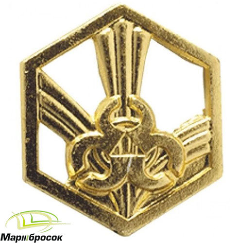 Эмблема петличная Войска РХБЗ золотистая
