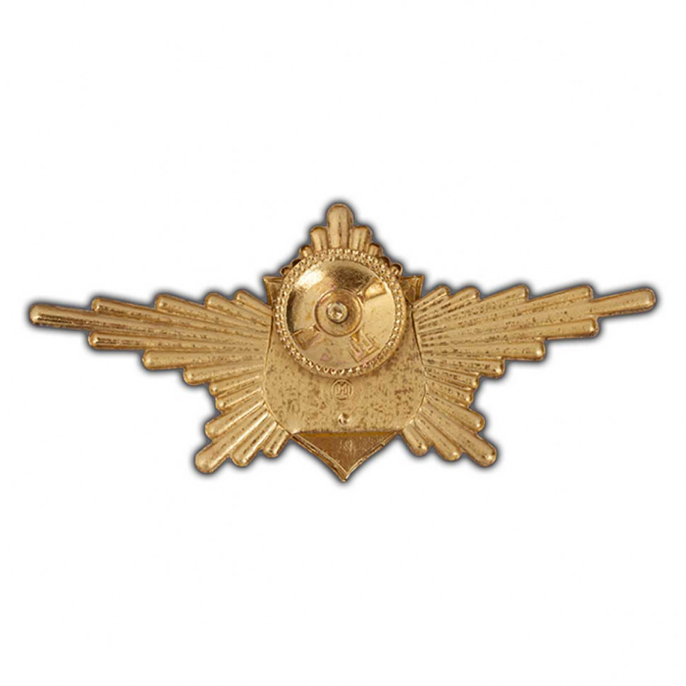 Знак «Роты Почетного Караула» (Общевойсковой)