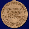 Медаль «Участнику борьбы со стихией на Амуре» (МО РФ)