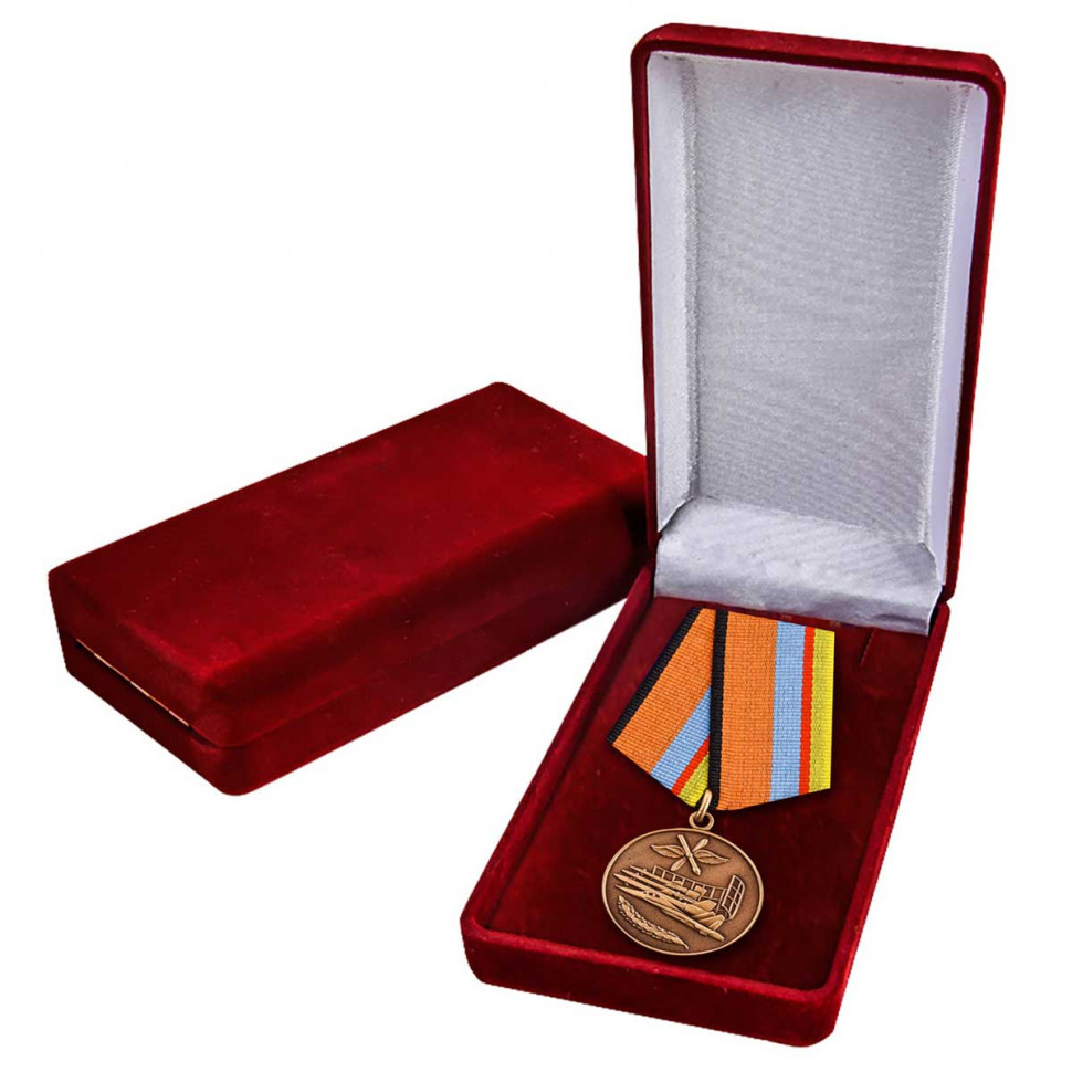 Медаль «За службу в ВВС» в наградном футляре (МО РФ)