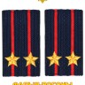 Фальш-погоны Полиции вышитые нового образца (темно-синие) Подполковник