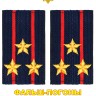 Фальш-погоны Полиции вышитые нового образца (темно-синие) Полковник