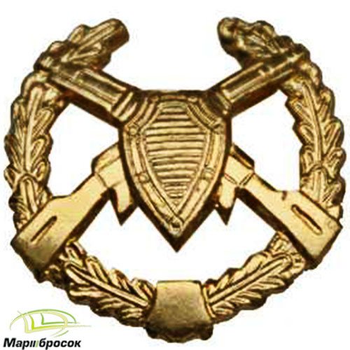 Эмблема петличная Пограничные войска в венке золотистая