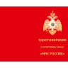 Бланк удостоверения Знака «Почетный Знак МЧС России»
