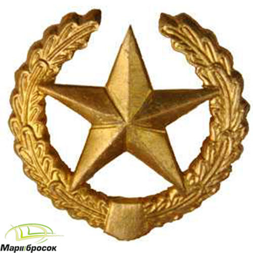 Эмблема петличная Сухопутные войска (Звезда в венке) золотистая