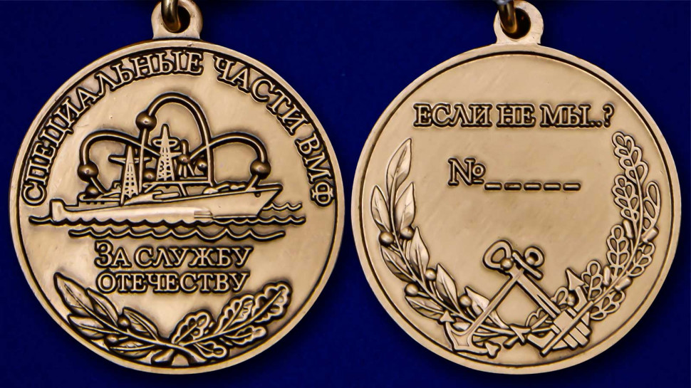 Медаль «За Службу Отечеству» Специальные Части ВМФ В Подарочном Футляре